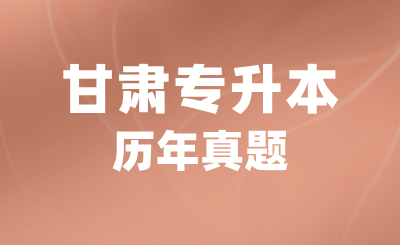 2022年甘肃专升本计算机考试真题