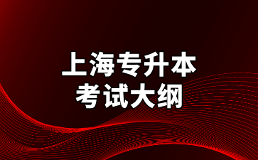 2025年上海立达学院专升本《计算机应用基础》考试大纲